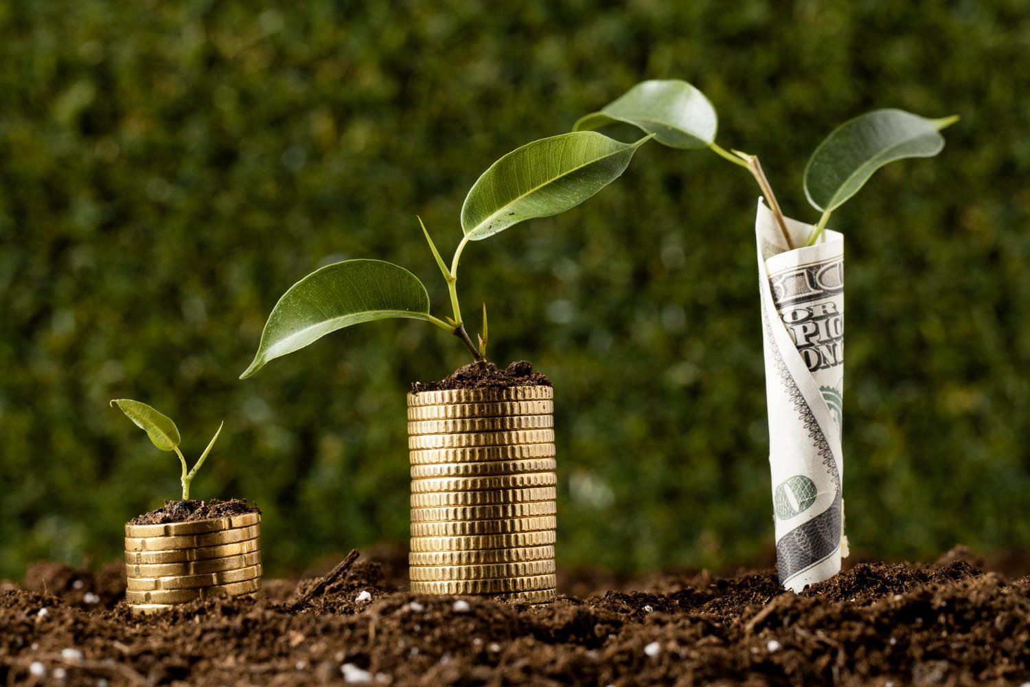 Top Investment Opportunities in Kenya for French Companies